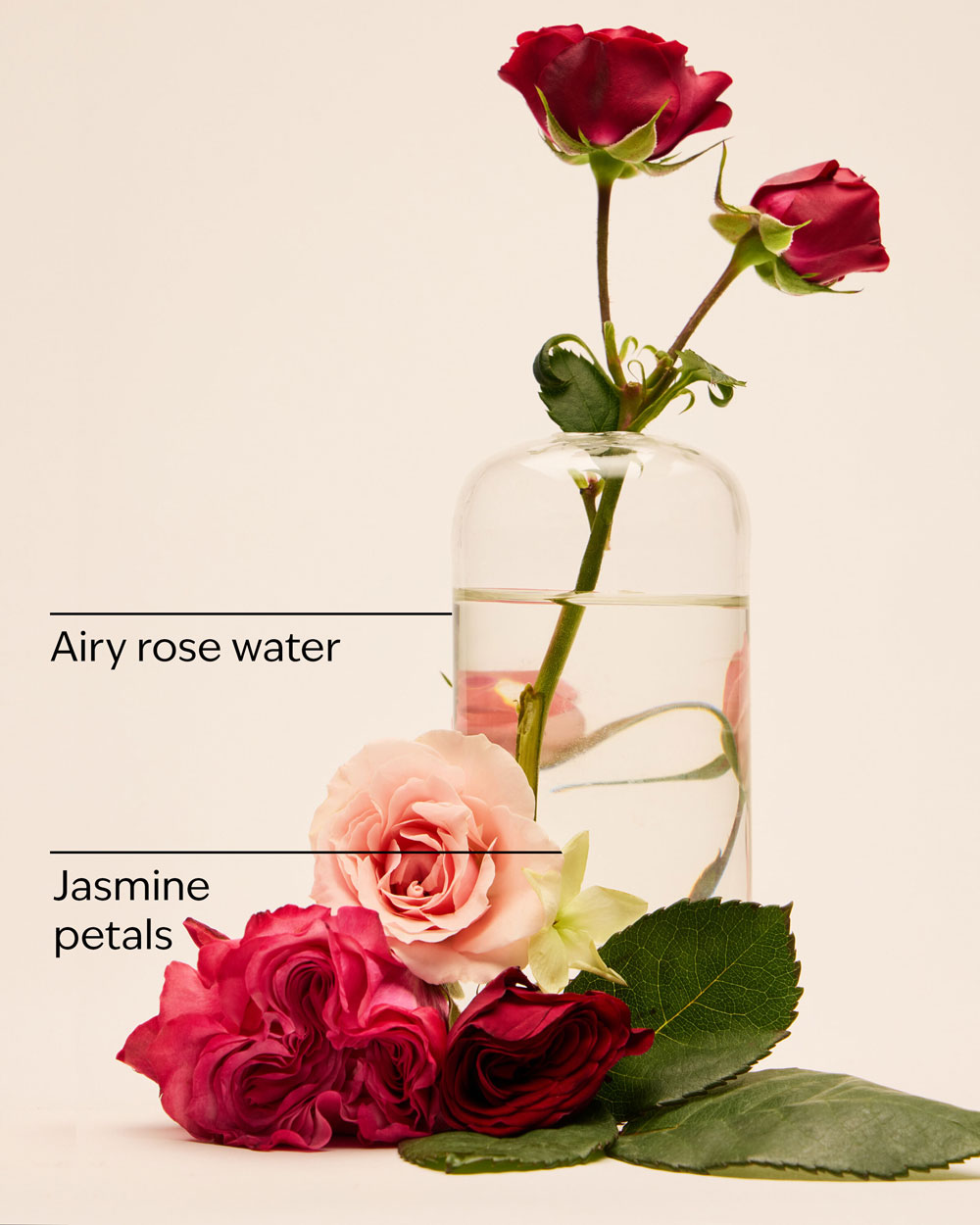 بادی اسپلش Rose